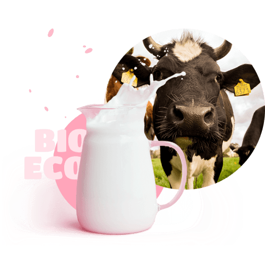 cow and ice-cream